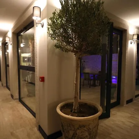 Hotel Ariel